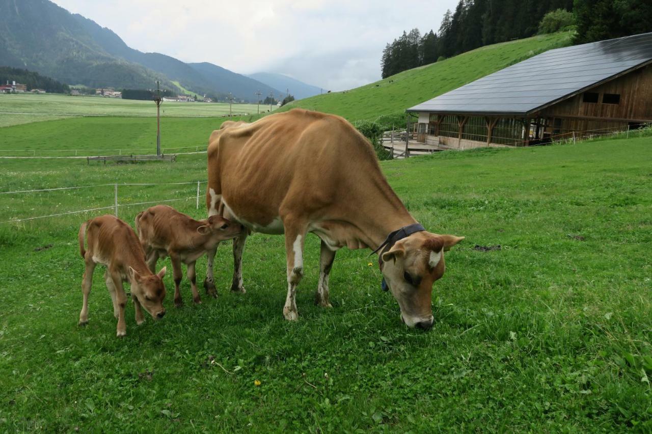 Baumannhof Appartement Toblach Buitenkant foto